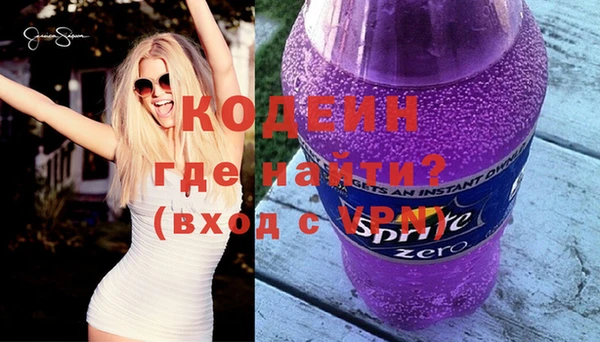 гашик Корсаков