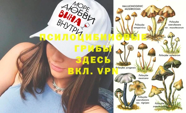 spice Козельск