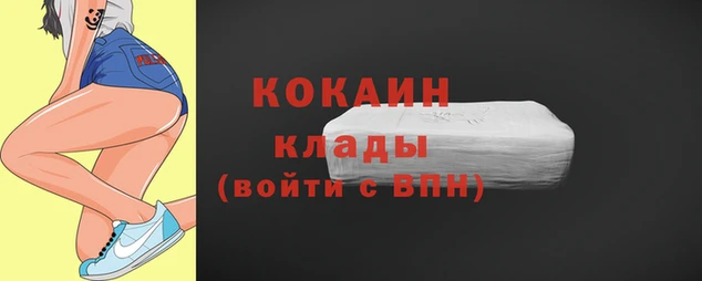 гашик Корсаков