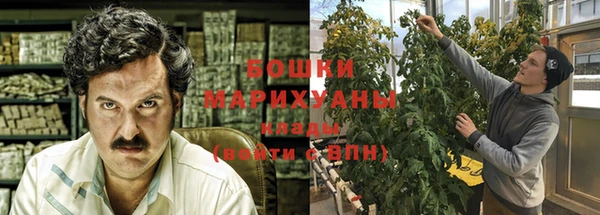 ПСИЛОЦИБИНОВЫЕ ГРИБЫ Костерёво