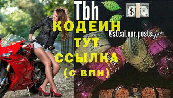 spice Козельск