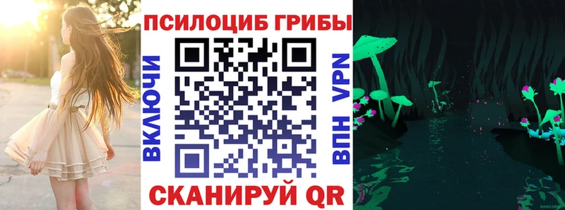 Псилоцибиновые грибы мухоморы  Купить закладки  Кушва 